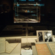 Illustration for article titled Pictures from the Reagan Library: The Titanic Exhibit